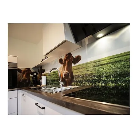 Vakantiehuis Q-stall, 03