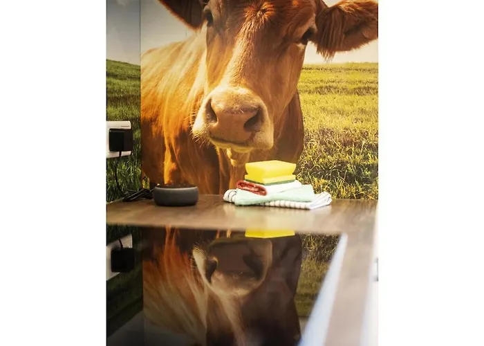 Q-stall, 03 * Brilon